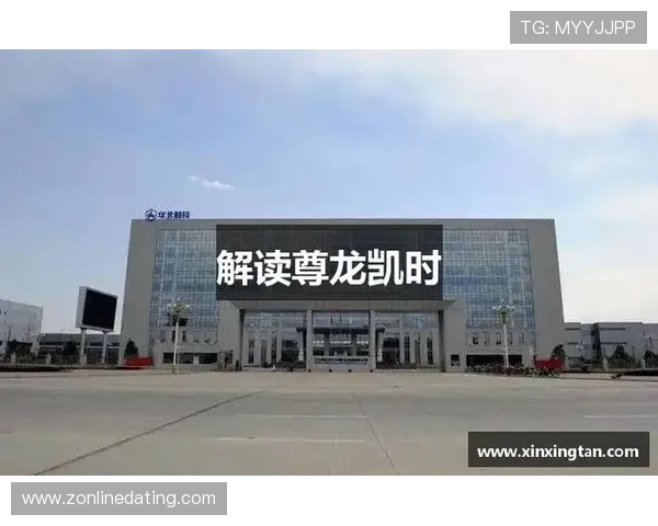 深入探讨尊龙凯时网址官方地址的作用与意义